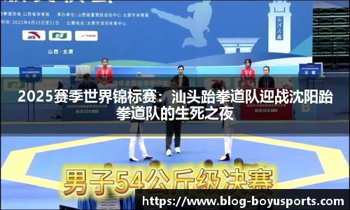 2025赛季世界锦标赛：汕头跆拳道队迎战沈阳跆拳道队的生死之夜